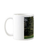 Amish Country Side Mugs