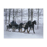 Amish Country Winter Carriage Ride-Postcard