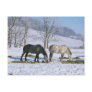 Amish Draft Horses in Winter Pasture-Postcard
