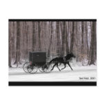 Amish Horse and  Buggy Postcards
