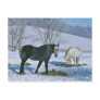 Amish Horses In Winter Pasture-Postcard