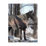 Amish Horses Waiting In Winter Postcard