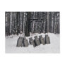 Amish Milk Cans-Postcard