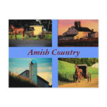 Amish Montage Postcard