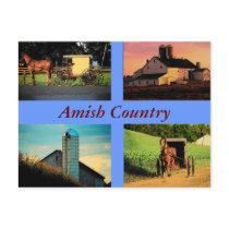 Amish Montage Postcard