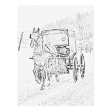 Amish Sketch-Horse and Buggy-Postcard