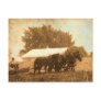 Amish Team Postcards