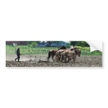 Amish Tractor Bumper Sticker bumper stickers