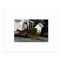 amish woman postcard