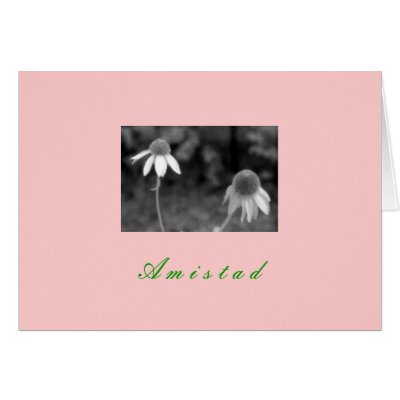 "Amistad" Cards by Rmarvil