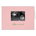 "Amistad" cards