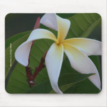 Ammaron's Curly White - Mousepad