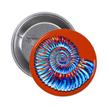 Ammonite fossil button