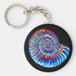 Ammonite fossil keychains