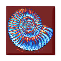 Ammonite fossil fridge magnet