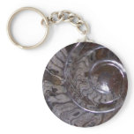 ammonite key chains