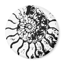 AMMONITE