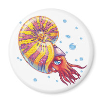 Ammonite Magnet