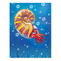 Ammonite Post Card