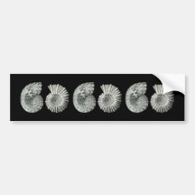 Ammonites Bumper Sticker