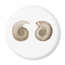Ammonites Refrigerator Magnet