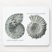 Ammonites Mouse Pads