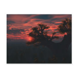 Among The Ancients Postcard