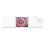 Amore Mio bumper stickers