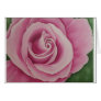 Amore Mio Cards