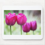 Amorous Couples Mouse Mats