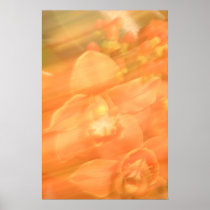 Amorous orchidea poster