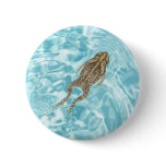 Amphibian Button 01