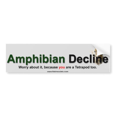 Amphibian Decline Bumper Stickers by mikeyc681