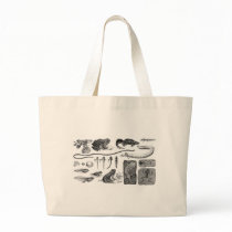 Amphibian Evolution Canvas Bag