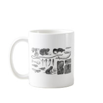 Amphibian Evolution Coffee Mug