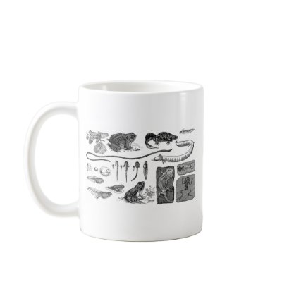 Amphibian Evolution Coffee Mug by gilwarzecha