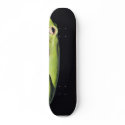 Amphibian Frog Green Frog On Wall skateboards
