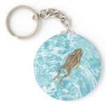 Amphibian Keychain 01