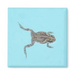 Amphibian Magnet 02