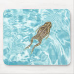 Amphibian Mousepad 01