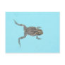 Amphibian Postcard 02