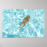 Amphibian Poster 01