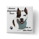 AmStaff Like No Other Breed