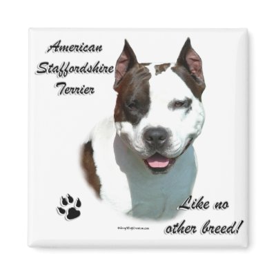 AmStaff Like No Other Breed by GreyWolfCreation