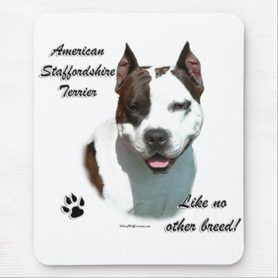 AmStaff Like No Other Breed by GreyWolfCreation