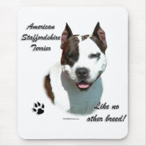 AmStaff Like No Other Breed