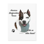 AmStaff Like No Other Breed