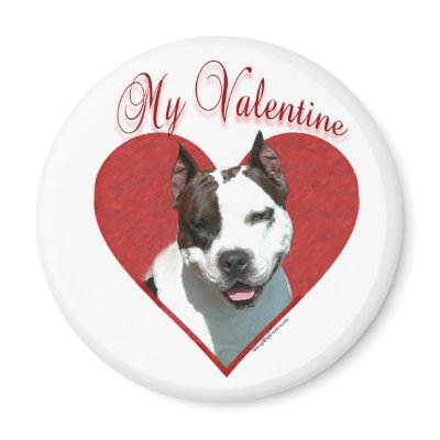 AmStaff My Valentine - Magnet by GreyWolfCreation