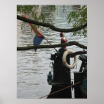 Amsterdam Canal Boat Detail Holland Photo Poster