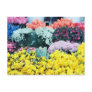 Amsterdam Flowermarket Postcard